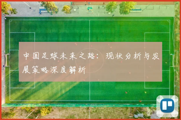 中国足球未来之路：现状分析与发展策略深度解析