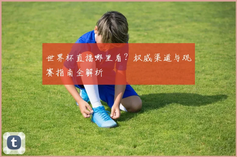 世界杯直播哪里看?权威渠道与观赛指南全解析