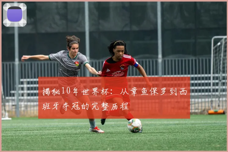 揭秘10年世界杯：从章鱼保罗到西班牙夺冠的完整历程