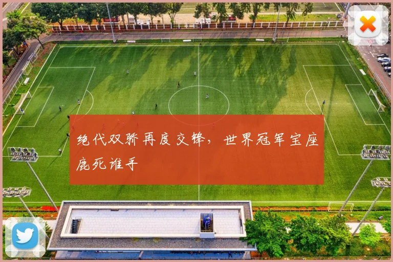 绝代双骄再度交锋，世界冠军宝座鹿死谁手